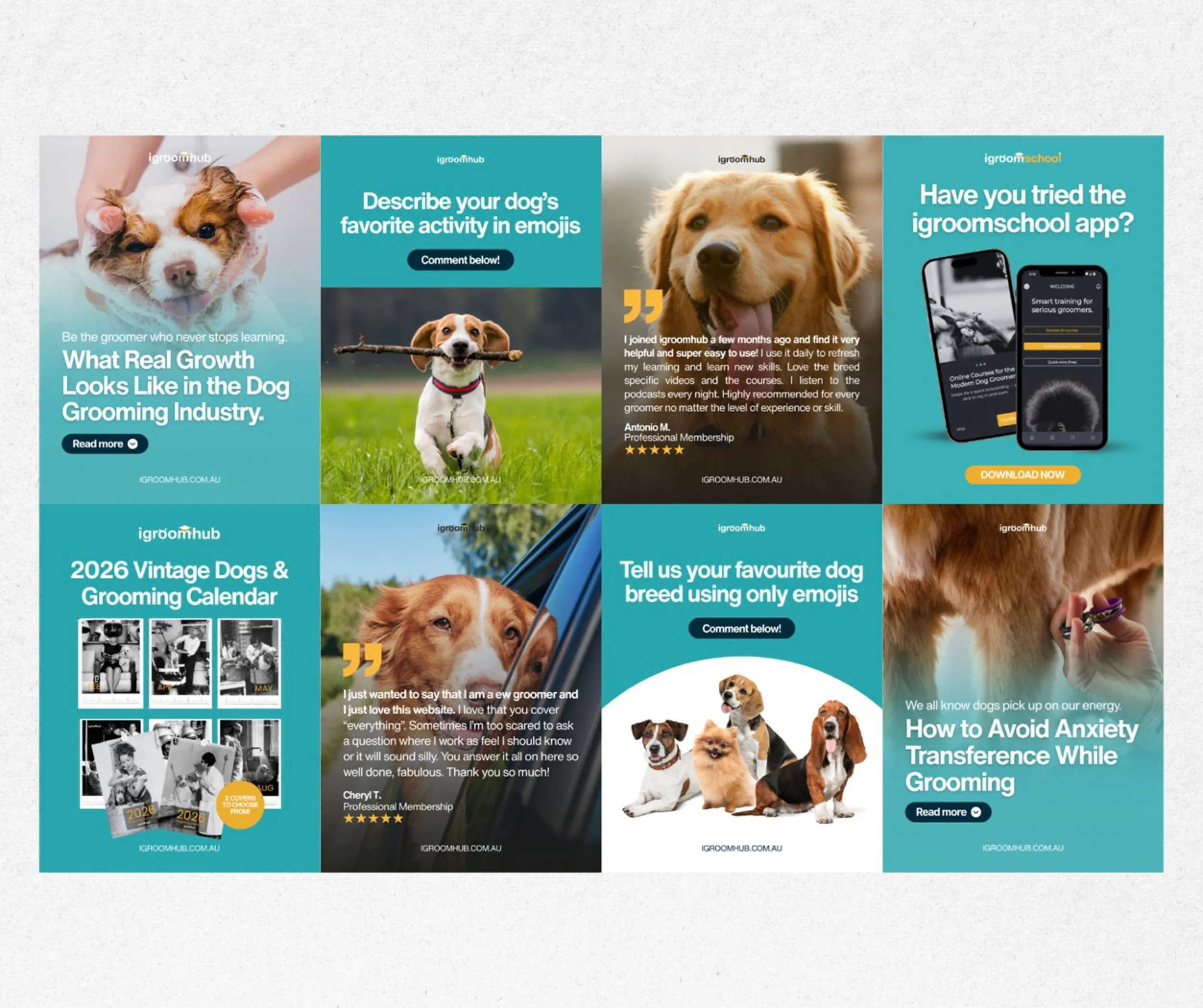 Grid of social media posts for a dog grooming academy including tips, testimonials and app promotion