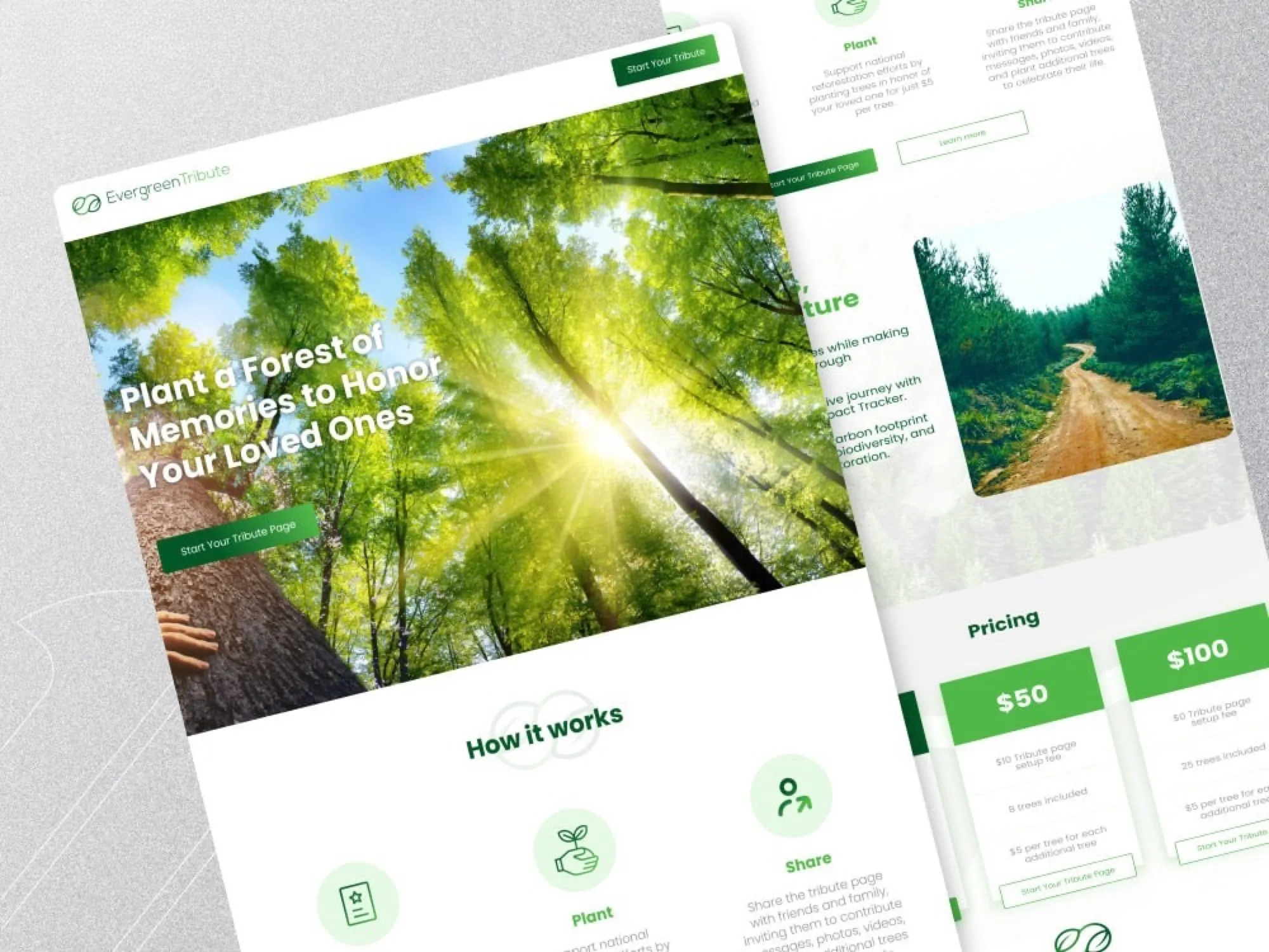 WordPress website design 1