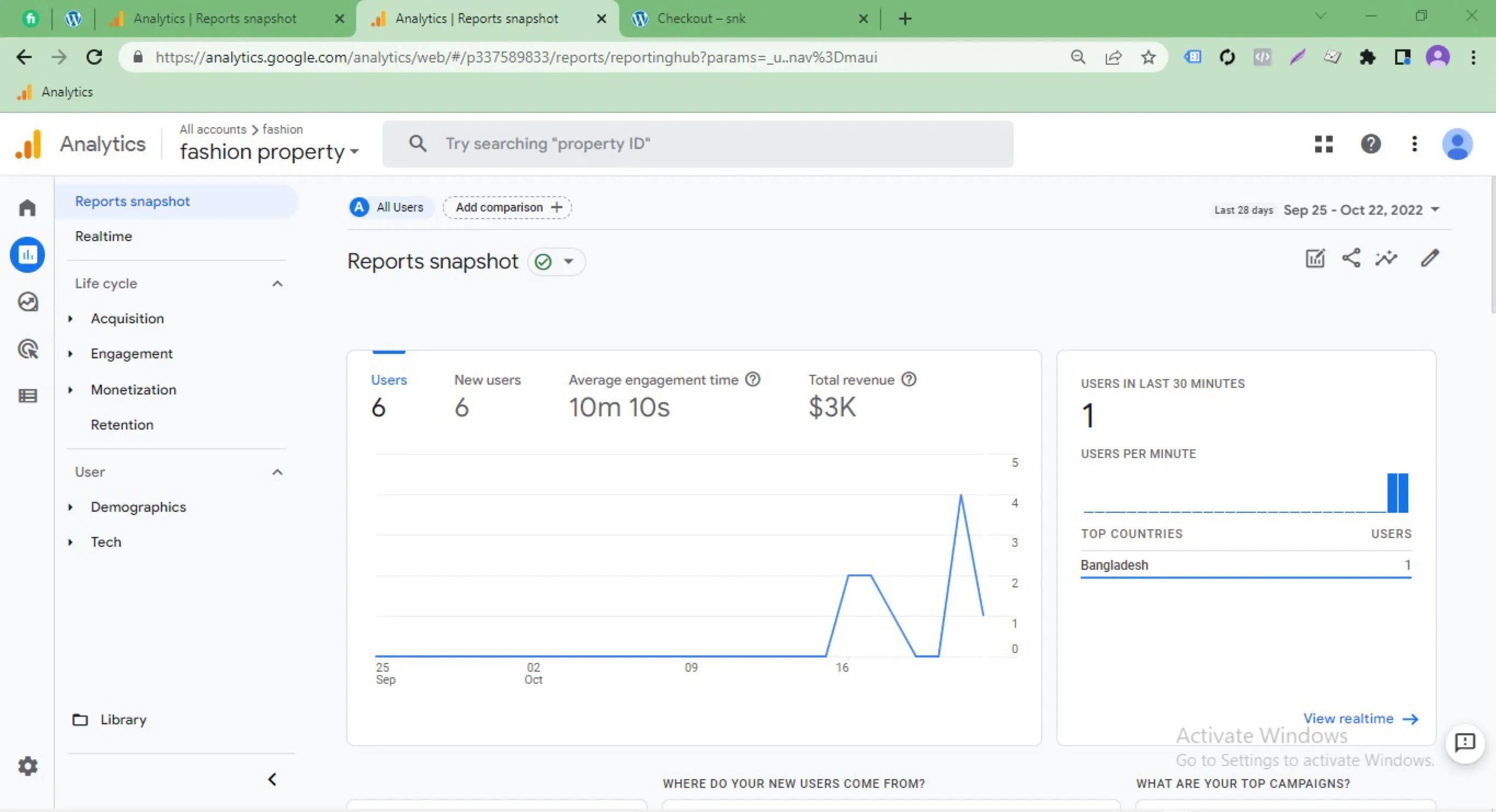 GA4 reports snapshot for a fashion store property showing users and revenue