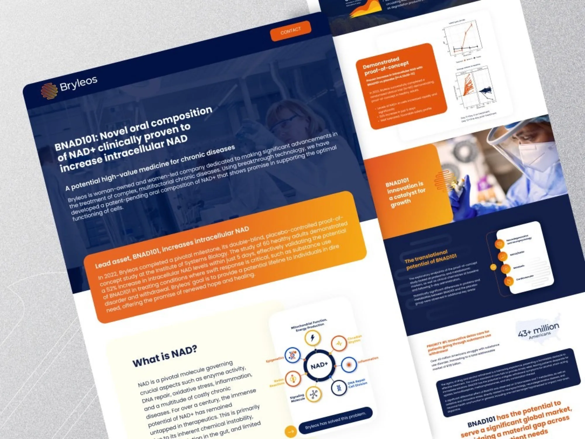 WordPress website design 5
