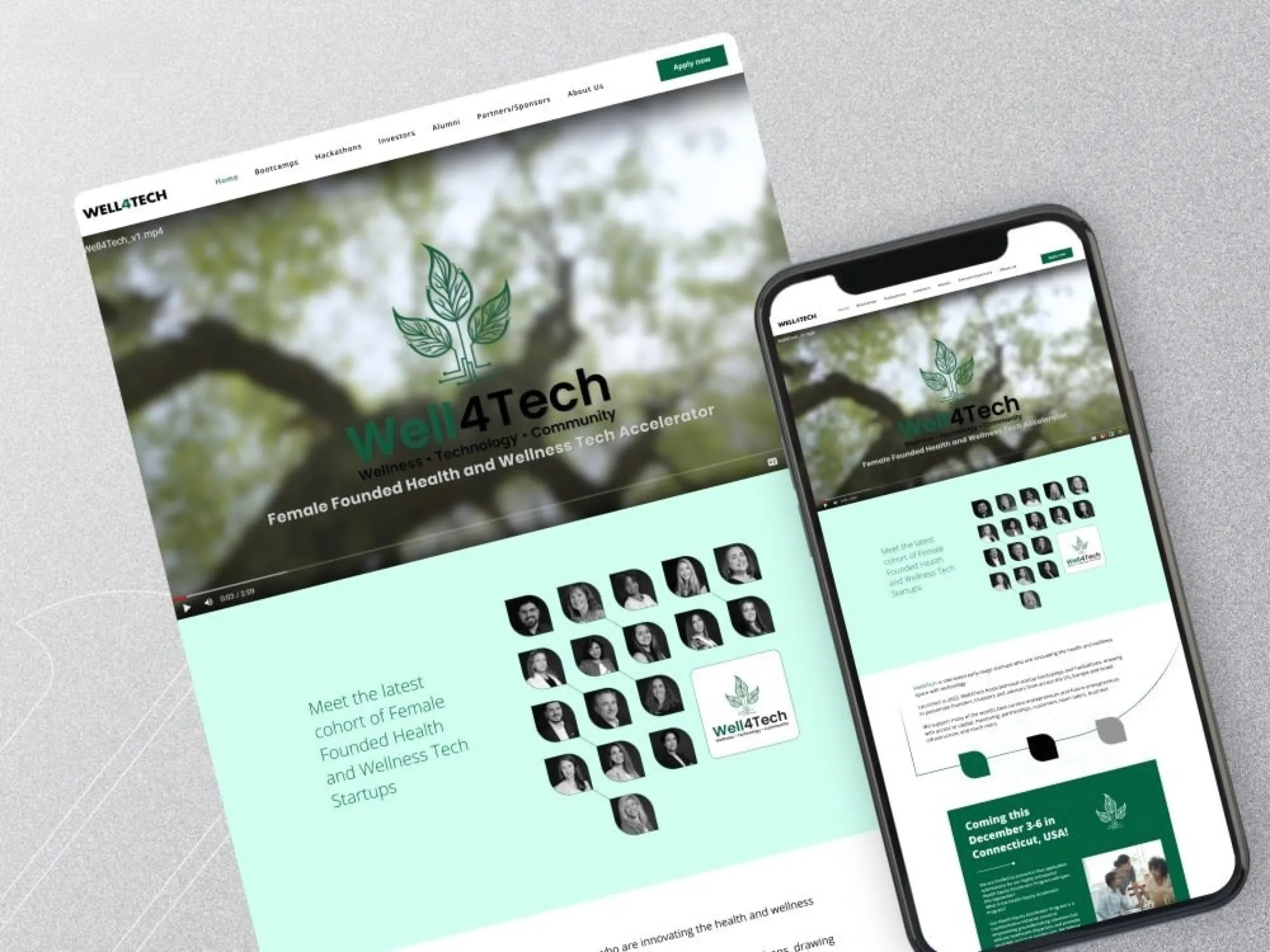 WordPress website design 7